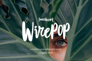 A Boldly Stylish Modern Calligraphy Script