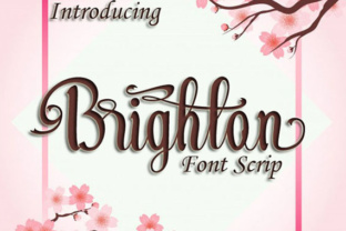 Brighton Calligraphy: The Strategic Handwriting Script