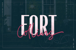 Fort Collins: A Balanced and Versatile Typeface