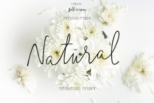 Natural: The Modern Script Font for Elegant and Trendy Design