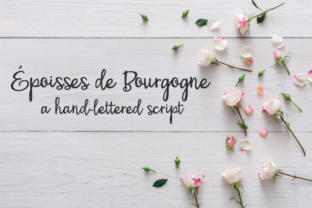 PN Époisses De Bourgogne: A Strategic Choice for Distinctive Results