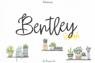 The Bentley Script: A Brush Font for Elegant Branding