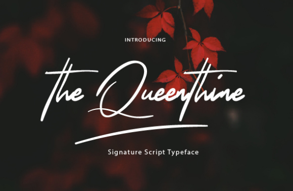 The Queenthine: Where Signature Elegance Meets Contemporary Design